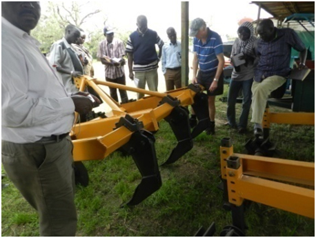 Networking and Partnership